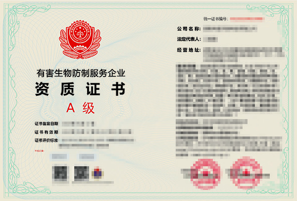 办理白蚁防治资质：选择专业的保障，让家更安全！